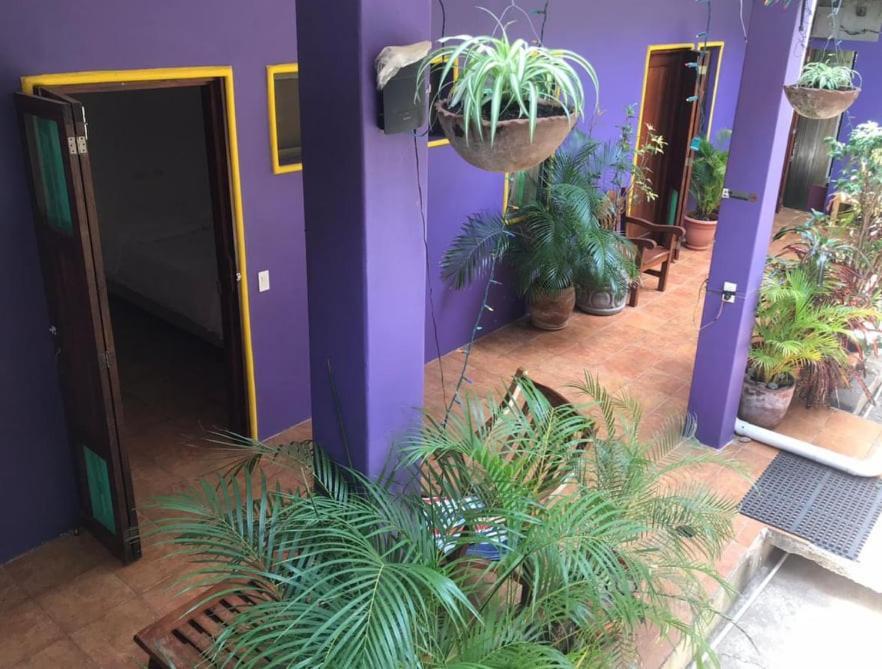 Casa Romano Hostel San Juan del Sur Buitenkant foto